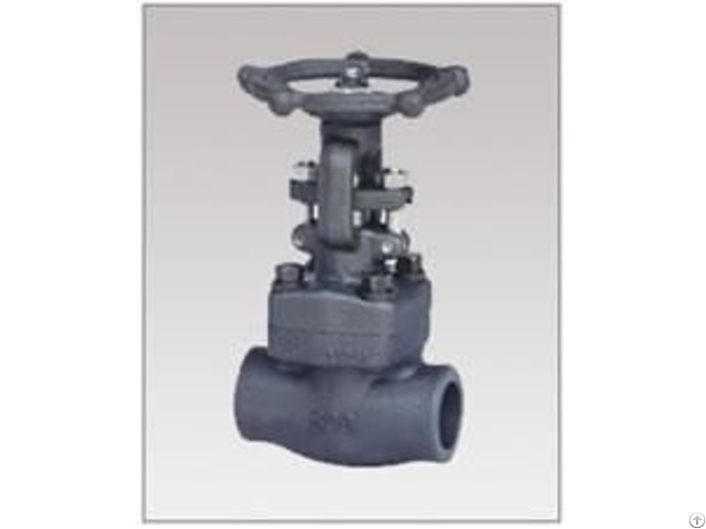 Forged Steel Bolted Bonnet Gate Valve Class 150 300 600 800