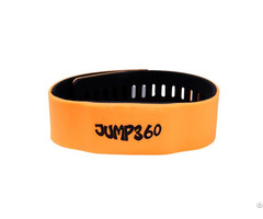 Rfid Bracelet Wristband Tags