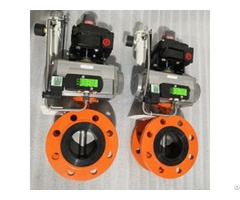 Astm A351 Cf8 Center Line Butterfly Valve
