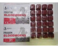 Frozen Bloodworms Fish Food