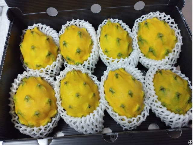 Sell Fruits Exotics Pitaya Passion Fruit Granadilla Origin Ecuador