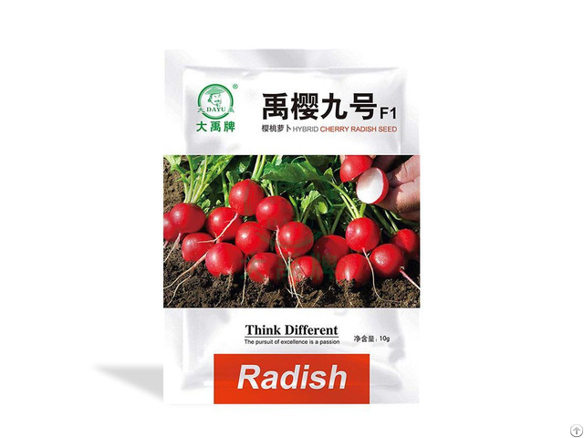 Bulk Radish Seeds