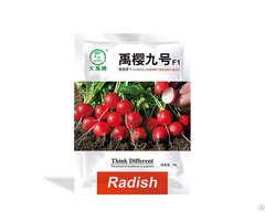 Bulk Radish Seeds