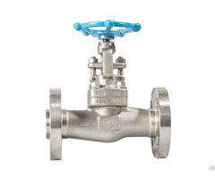 Stainless Steal Flanged Globe Valve