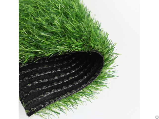 Landscape Grass
