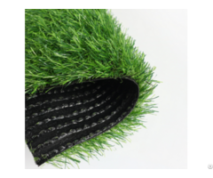 Landscape Grass