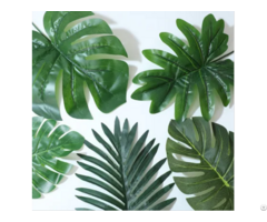 Artificial Turtle Back Leaf