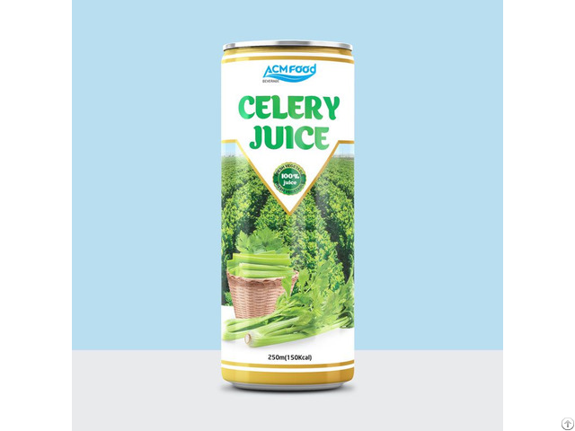 Fresh Vegetable Celery Juice Drink
