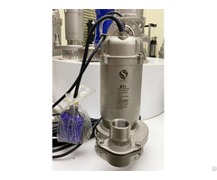 Wqd S Ss Submersible Sewage Pump With Floating Switch