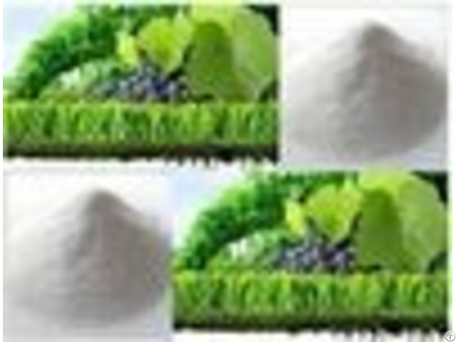 Magnesium Hydroxide Fertilizer