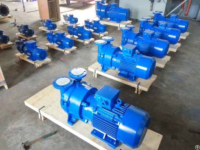 2bv2 060 Ex Liquid Ring Vacuum Pump