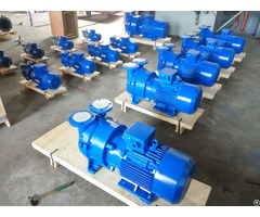 2bv2 060 Ex Liquid Ring Vacuum Pump