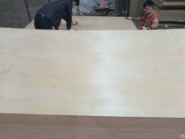 Vietnam Birch Plywood