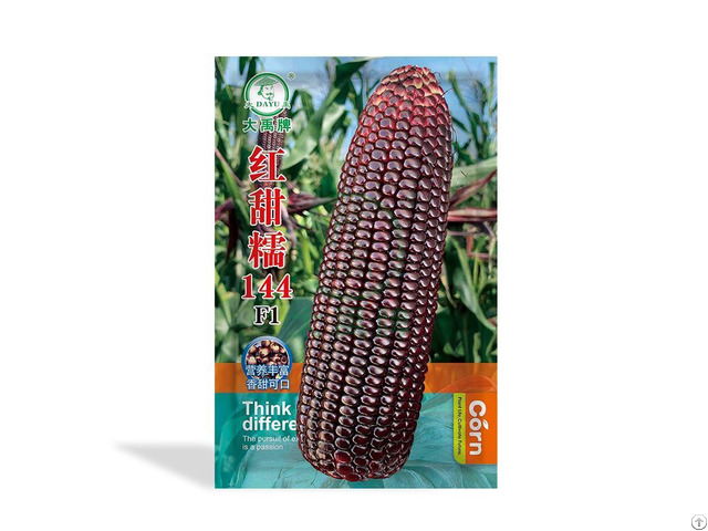 Carrot Seeds Bulk