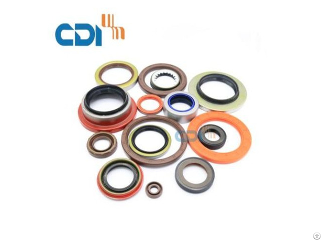 Oil Seal For Pumps