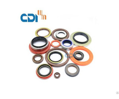 Oil Seal For Pumps