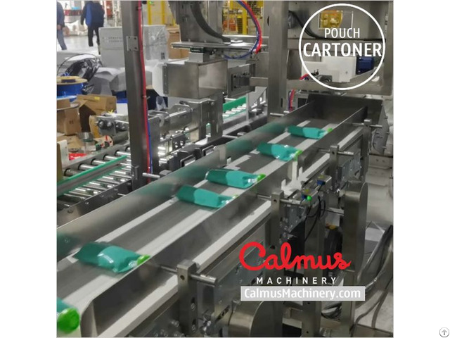 Doypack Pouch Sorter And Case Packer System