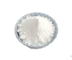 Pairs Horses Precipitated Barium Sulphate