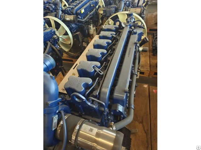 Supply Of Heavy Tractor Dump Trucks Engine Assembly Wp10 336