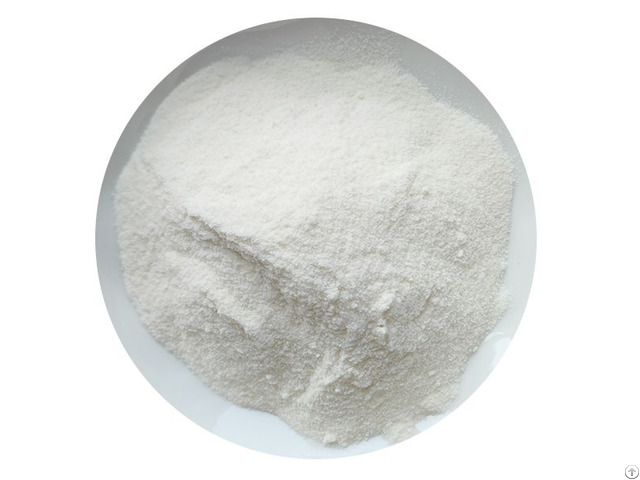 Garlic Extract Powder