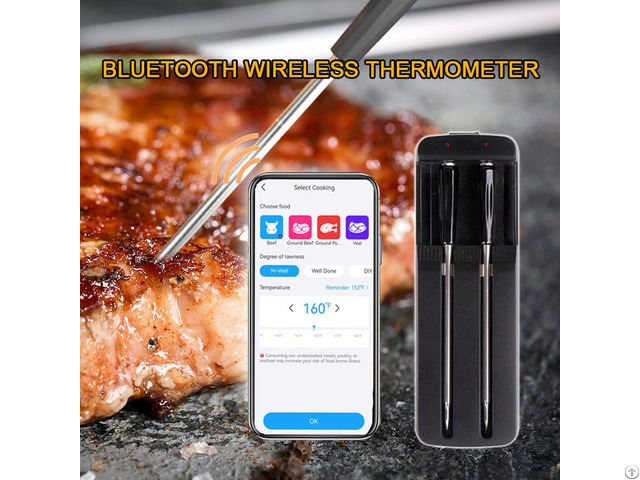 Digital Meat Thermometer