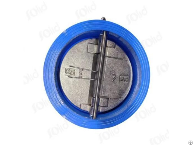Dual Plate Check Valve