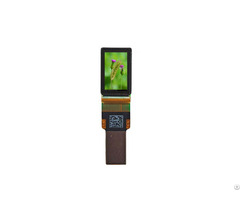 Amoled Display Manufacturers