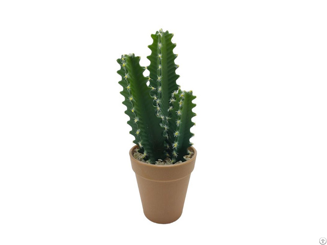 Wholesale Artificial Cactus
