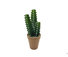 Wholesale Artificial Cactus
