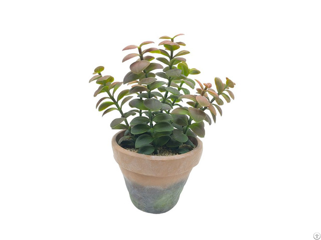 Wholesale Artificial Succulent