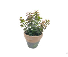 Wholesale Artificial Succulent