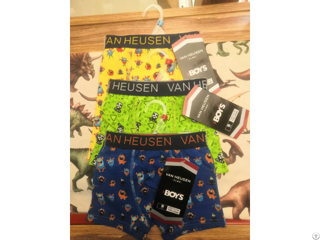 Boy S Popular Printing Underwear