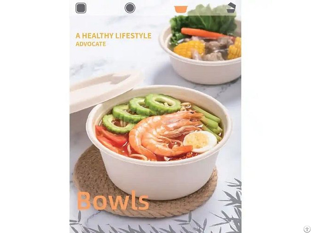 Bagasse Formed Products
