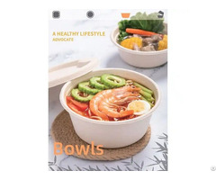 Bagasse Formed Products