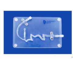 Aneurysm Model