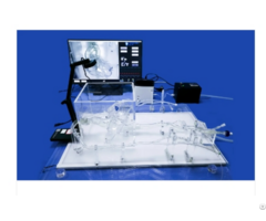 Pci Training Model