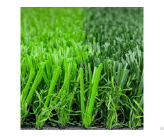 No Fill Sports Grass