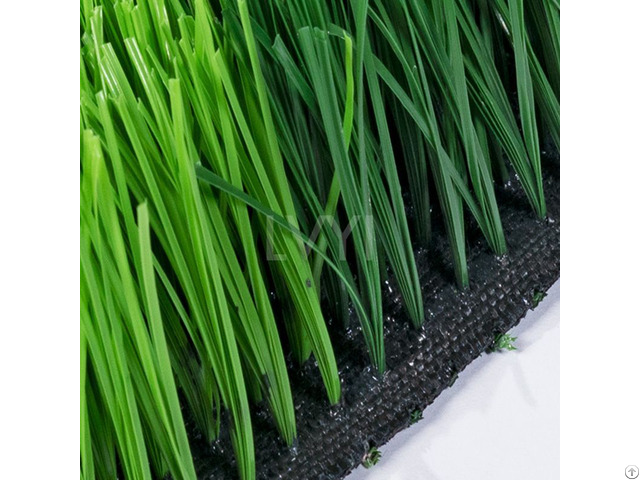 Monofilament Sports Grass 6s Type