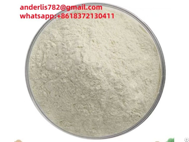Milk Thistle Extract Silybum Marianum Silymarine Silibinin