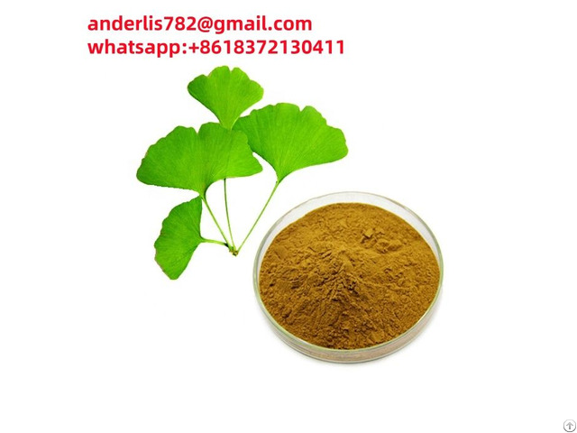 Offer Natural Organic Ginkgo Biloba Extract