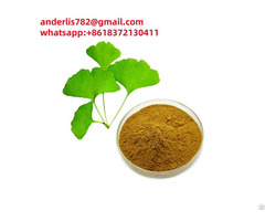 Offer Natural Organic Ginkgo Biloba Extract