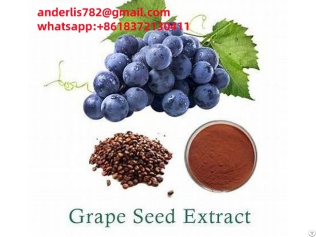 Offer Natural Organic Grape Seed Extract
