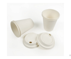 Biodegradable Bagasse Sugarcane Pulp Cup With Lid For Hot And Cold Beverage