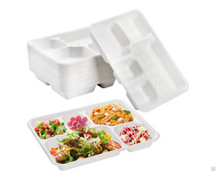 Biodegradable Bagasse Sugarcane Compartment Tray For Food Serving
