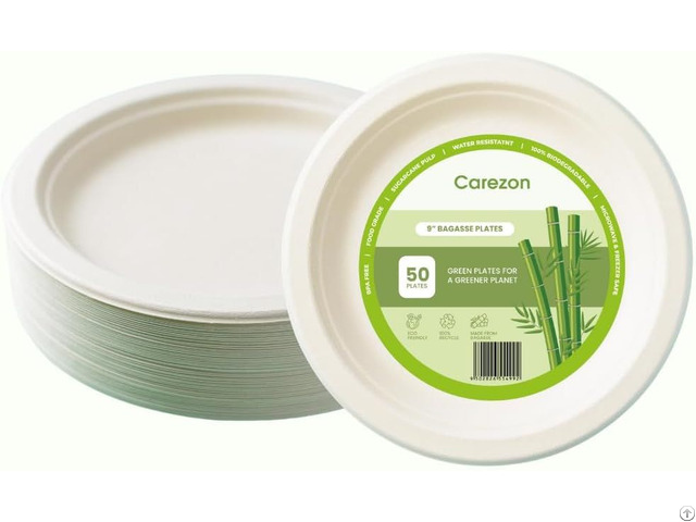 Biodegradable Bagasse Sugarcane Round Plate 9