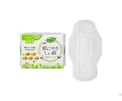 China Best Day Use Disposable Sanitary Napkins For Sale