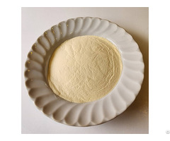 Mango Extract Powder