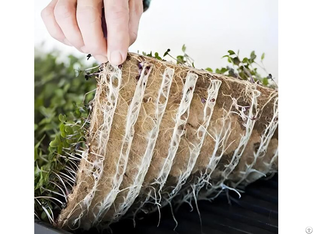 Natural Jute Hemp Felt Mat For Grow Seedlings