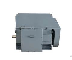 Iec Gost Standard Medium Voltage Electric Motors