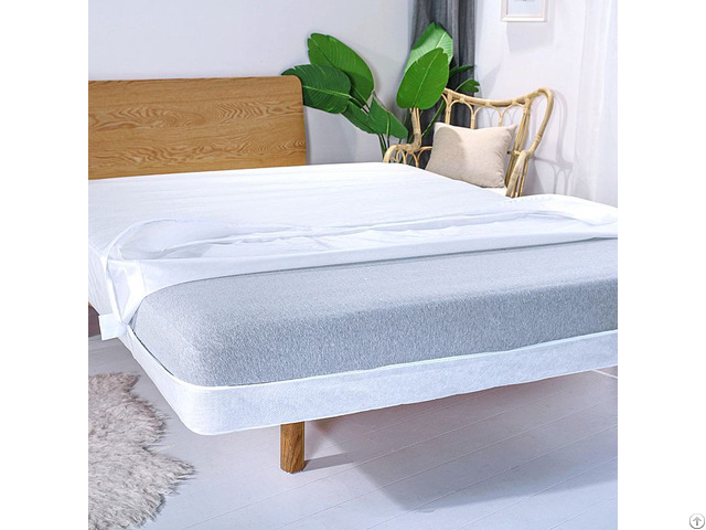 Zc24029 Zipper Box Spring Anti Bed Bug Mattress Encasement Cover